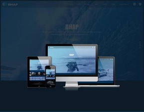 婆婆子官方網(wǎng)站正式上線